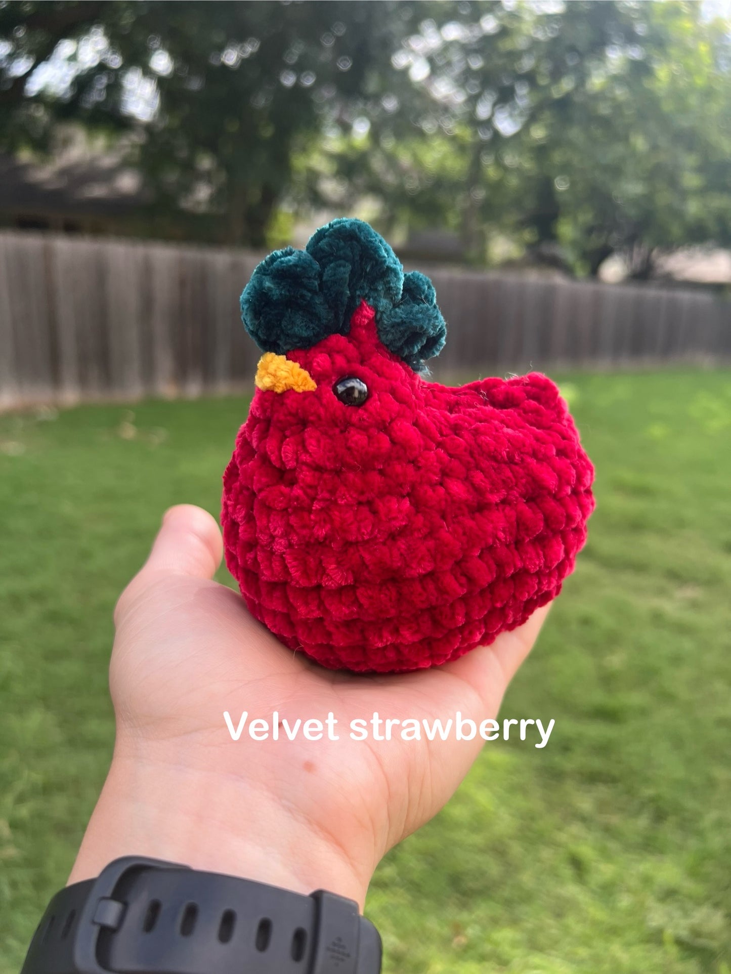 Velvet chicken!